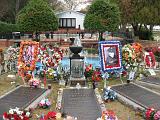 07 Graceland 06